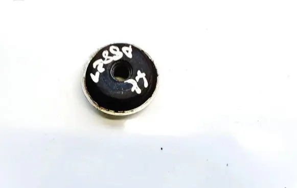 Coil spring mount