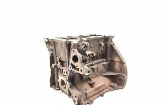 Ford Focus Engine block M1DA