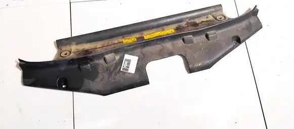 Engine bonnet/hood lock trim molding