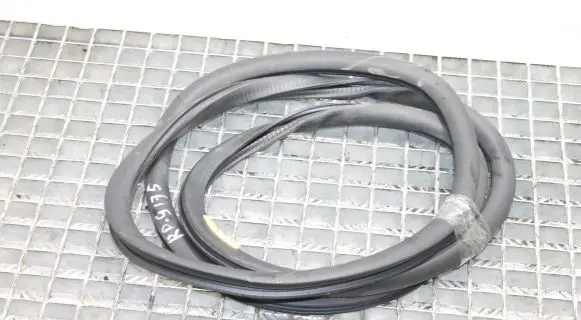 Volkswagen Phaeton Rubber seal rear door 