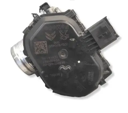 Peugeot Partner III Throttle body valve 9830171480 98359L1 V29121487