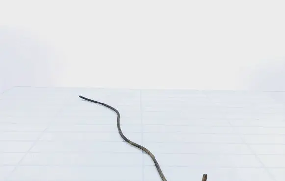 Citroen C5 Convertible roof line/pipe/hose 