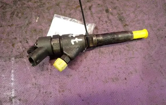 Peugeot 206 CC Fuel injector 9641742880