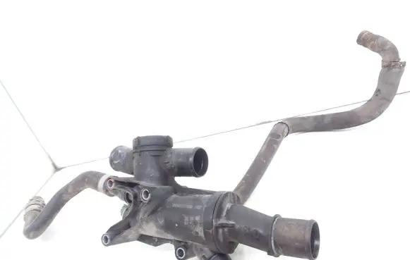 Thermostat/thermostat housing