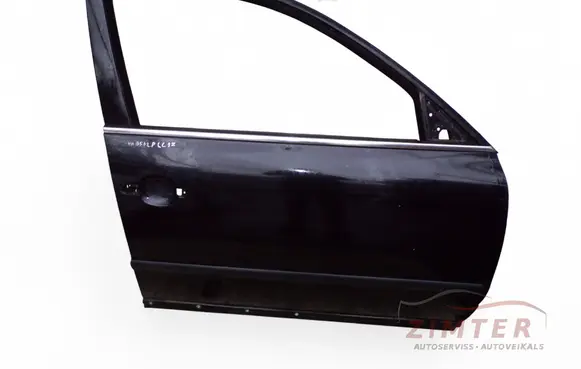 Volkswagen PASSAT B5.5 Front door