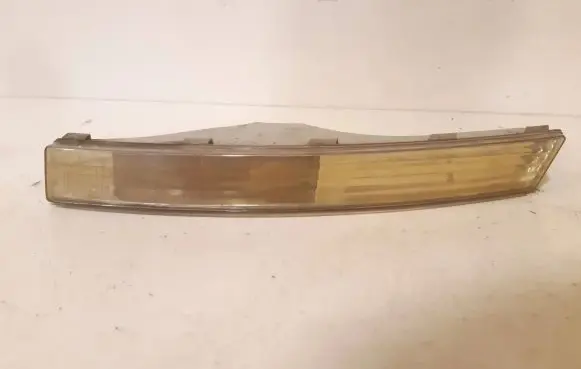Volkswagen PASSAT B6 Front indicator light