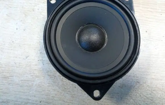 Rear door speaker