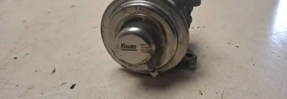 EGR valve