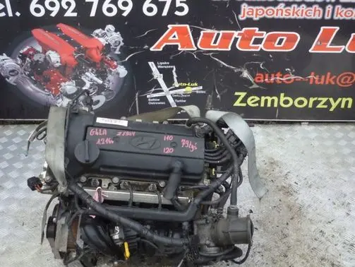 Hyundai i20 (PB PBT) Engine G4LA