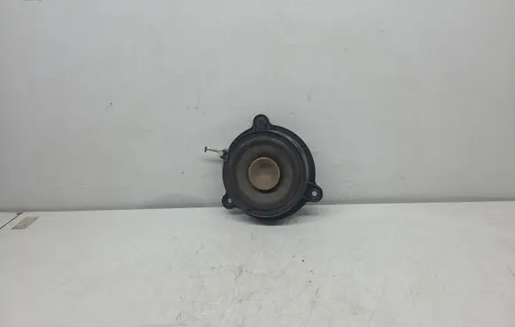 Renault Megane III Front door speaker