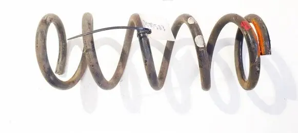 Rear coil spring