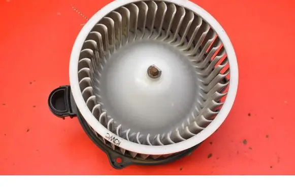 Tesla Model S Heater fan/blower F00S330054