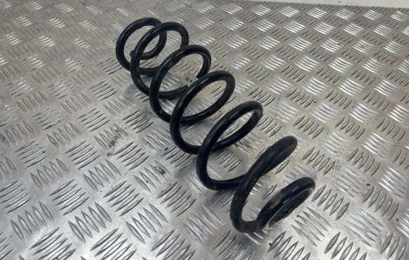 Rear coil spring