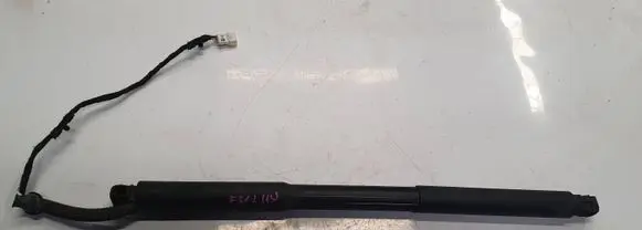 BMW 3 F30 F35 F31 Tailgate hydraulic set 7263156