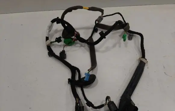 Front door wiring loom