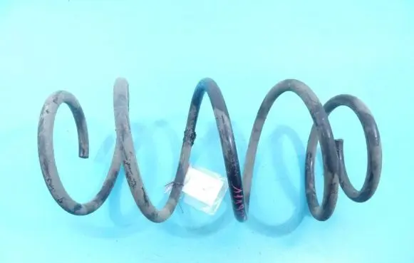Front coil spring