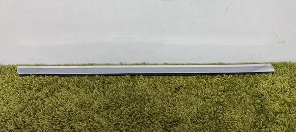 Tesla Model 3 Front door windshield rail 6009599-600