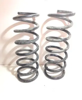 Rear coil spring