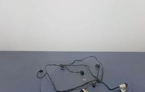 BMW X6 E71 Other wiring loom 9244429