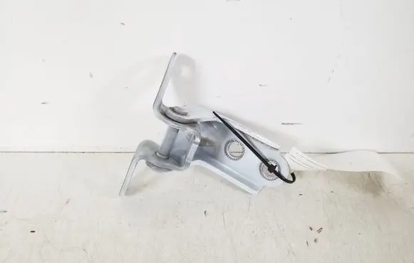 KIA Sportage Rear door lower hinge