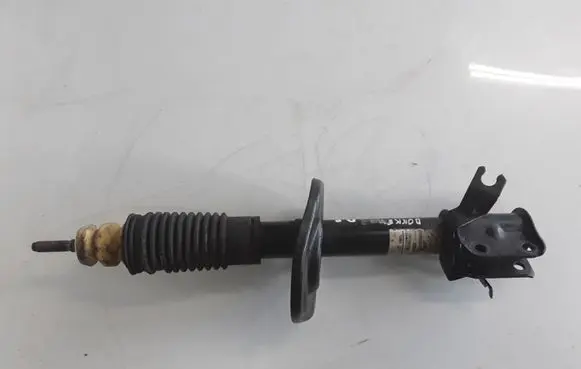 Dacia Dokker Front shock absorber/damper 543028938