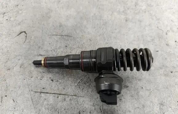Volkswagen PASSAT B5.5 Fuel injector 