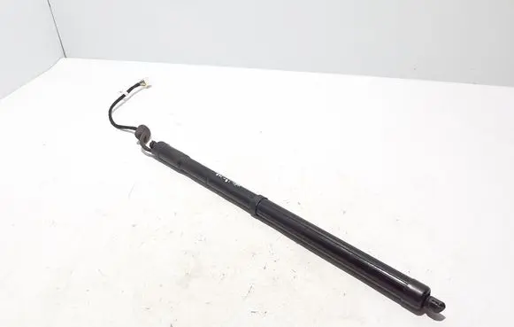 Renault Koleos II Tailgate strut 904520316R