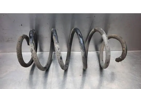 Volkswagen PASSAT B6 Front coil spring