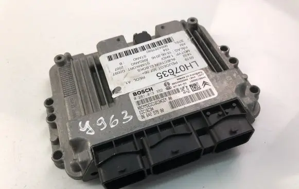 Peugeot 307 Other control units/modules 966425758