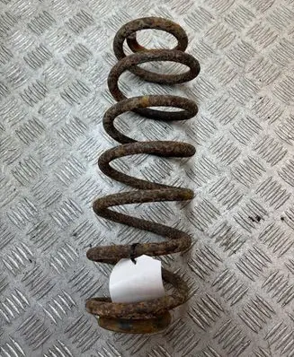 Volkswagen PASSAT B6 Rear coil spring 