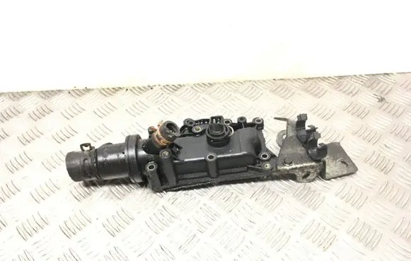 Thermostat/thermostat housing
