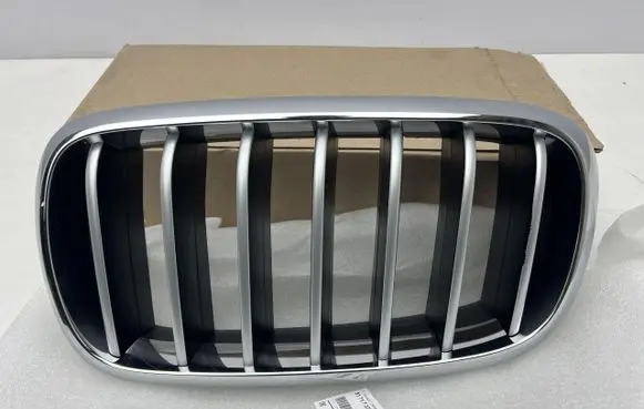 BMW X6 F16 Front bumper upper radiator grill 7373697