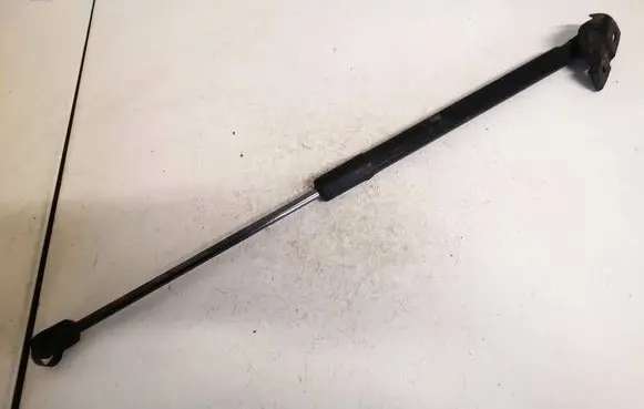 Tailgate/trunk strut/damper