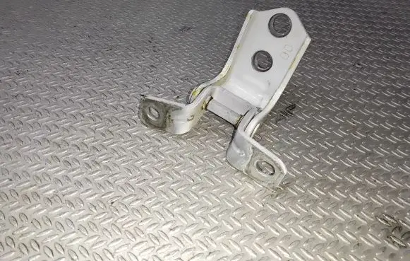 Rear door lower hinge