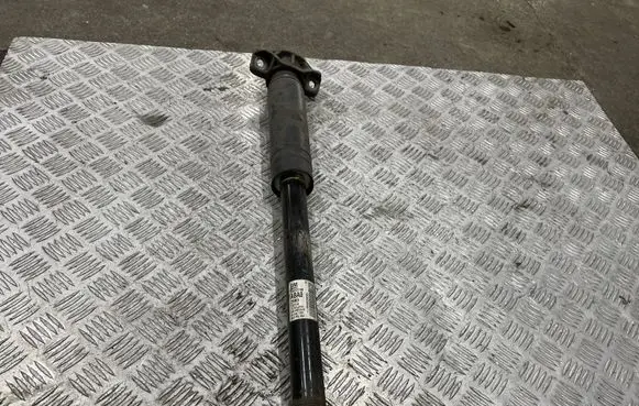 Opel Astra J Rear shock absorber/damper 13412740