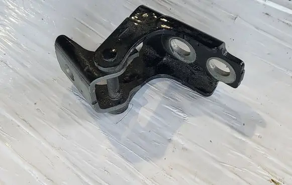 Rear door lower hinge