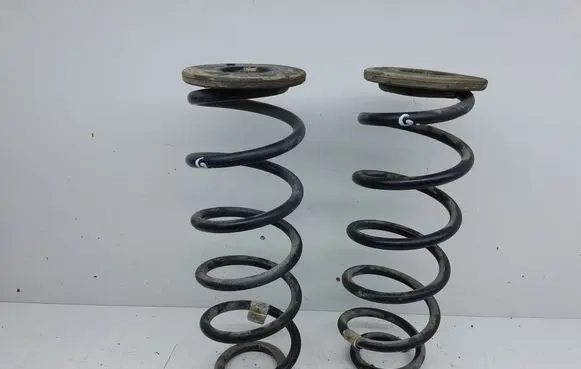 Rear coil spring