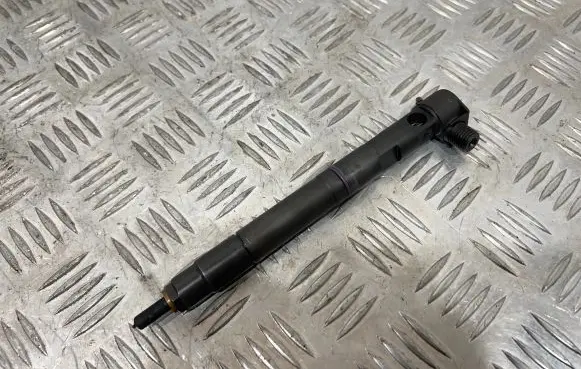 Chevrolet Captiva Fuel injector 28489548