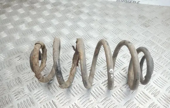 Opel Insignia A Rear coil spring