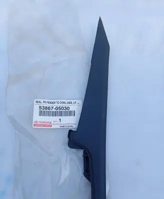 Fender trim (molding)