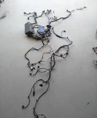 Ford C-MAX II Other wiring loom