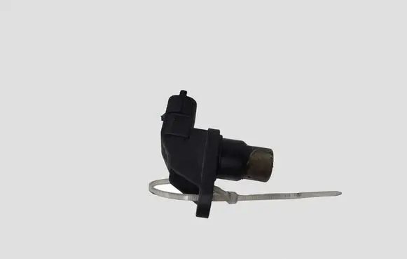 Volvo XC90 Camshaft position sensor 8631533