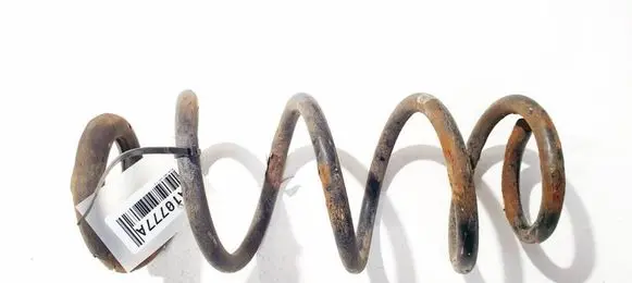 Rear coil spring
