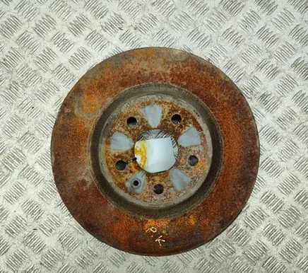 Tesla Model X Front brake disc 102509900B