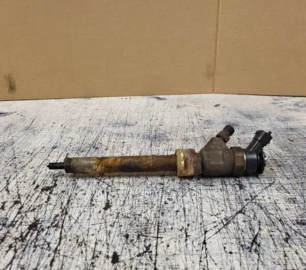Peugeot Partner Fuel injector 0445110311