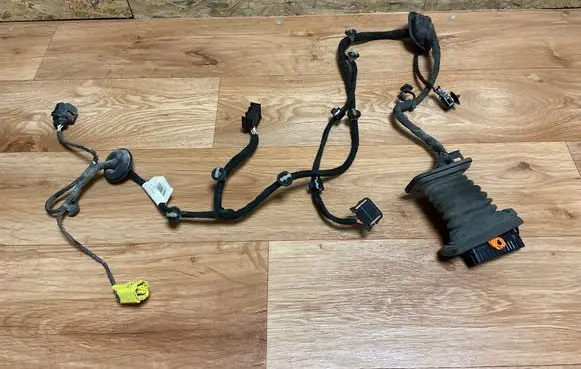 Volkswagen PASSAT B6 Front door wiring loom 3C1971121