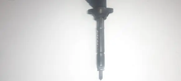 Citroen C4 I Fuel injector 0445110297