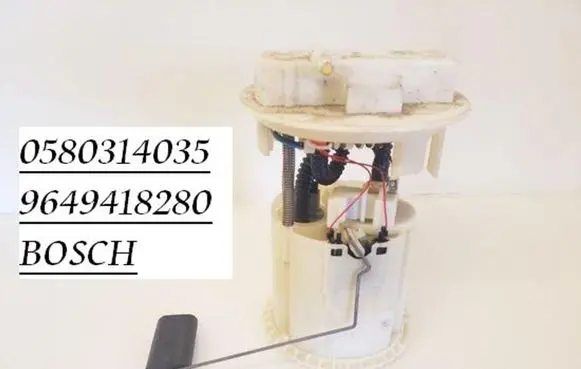 Citroen C3 In-tank fuel pump 0580314035 9649418280