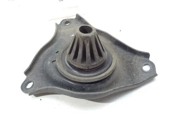 Rear coil spring