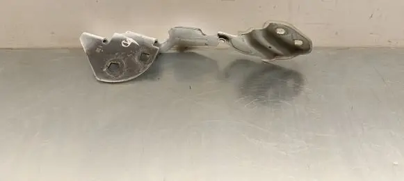 Tesla Model 3 Engine bonnet/hood hinges 164384600A